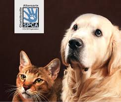 Paws and claws aquamation and memorials. Pet Cremation Charlottesville Albemarle Spca