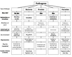 Pathogens Top Down Chart Concept Map