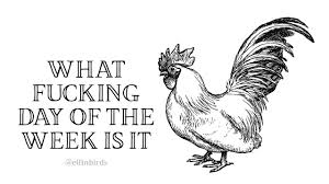 Bird Bird Bird Bird Is The Word Timbaland Effin Birds Workplace Humor Hooked On A Feeling Effin