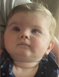 Two cases unfolding in West Tennessee are more connected than they first  appeared. On Tuesday, a 7-month-old baby girl was found abandoned in a car  seat