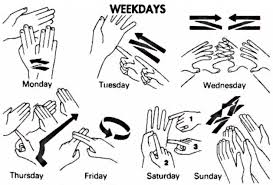 Sign Language Festival Early Learning And Child Care