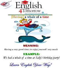 Having A Whale Of A Time English Expressions English Vinglish English Idioms