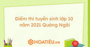 Cuộc thi thiết kế designed by vietnam 2021. Ä'iá»ƒm Thi Tuyá»ƒn Sinh Lá»›p 10 NÄƒm 2021 Quáº£ng Ngai Hoatieu Vn