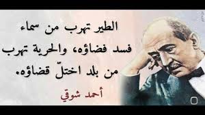 ابيات شعر عن الوطن لاحمد شوقي الجواب