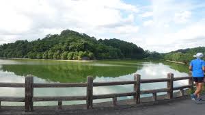 ウワナベ古墳！被葬者が気になる前方後円墳 | 奈良の宿大正楼