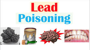 Image result for Lead Poisoning