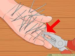 You'd think one nose full of quills would be enough to put any dog off his curiosity about porcupines, but some dogs never learn. How To Remove Porcupine Quills From A Dogs Face Dogwalls