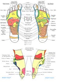 72 eye catching reflexology chart acid reflux