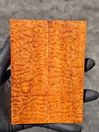 Image result for Afzelia