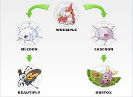 Determine Whether Wurmple Will Evolve Into Silcoon Or