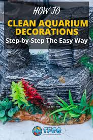 For hard to remove stains, however, these green cleaning materials are not enough. How To Clean Aquarium Decorations The Easy Way Tfcg