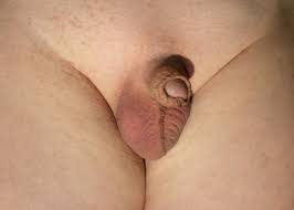 Small Penis - 72 porn photos