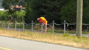 Ice, immigration and customs enforcement, united. Cable Fence Built Along Section Of Canada U S Border Near Vancouver Ctv News