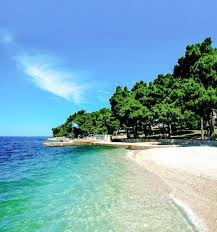 Kroatien Laguna Parentium Strand Kroatien Uralub Sandstrand Traumstrand Turkisblaues Meer Kr Ferienhaus Kroatien Kroatien Urlaub Urlaub Kroatien Ferienhaus