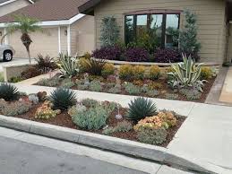 Drought Tolerant Front Yard Serragardens Succulents Succulents Rep Xeriscape Front Yard Low Maintenance Landscaping Front Yard Front Yard Landscaping Design