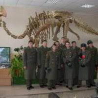 Image result for Floscopa leiothyrsa