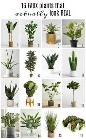 16 Faux Plants That Actually Look Real Faux Plants Faux Plants Decor Fake Plants Decor