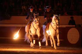 Spectacle Landes Emotions to PARENTIS-EN-BORN the 08/07/2024 | Landes  Holidays