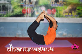 Dhanurasana 200 Hour Yoga Teacher Training Yoga Teacher Training Yoga Courses