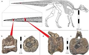 I had a few that i loved as a kid, but they all shared a common flaw. Suggested Case Of Langerhans Cell Histiocytosis In A Cretaceous Dinosaur Scientific Reports