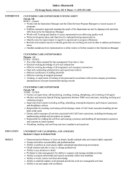 This customer service job description sample will assist you understanding the skills for customer service representatives in order to creating a targeted resume. Customer Care Supervisor Resume Samples Velvet Jobs