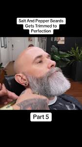 Salt And Pepper Beards Gets Trimmed to Perfection #hair #hairstyle #haircut  #barber #beard #transformation #fyp