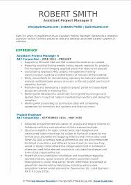 assistant project manager resume
