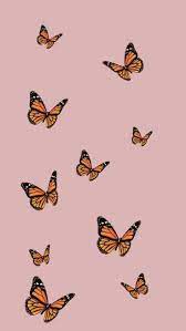 Find & download free graphic resources for butterfly. Vsco Butterfly Wallpapers Top Free Vsco Butterfly Backgrounds Wallpaperaccess