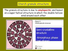 We did not find results for: Starch Plants Starch Granule In Plant Cell Ppt Download