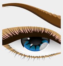I tried with a bunch of different images with no background and indesign automatically adds a green or black background to it (see screenshot below). Critividadessemlimite Png Transparent Background Lashes Png Variados Eyelash Cli Part Transparent Background Png Clipart Hiclipart Created With Love By Team Browserling