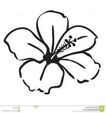 We did not find results for: Drawing Simple Step By Step Simple Hibiscus Flower Drawing