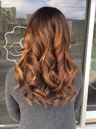 Bayalage Hair Color By Jeanie At Gloss Salon In Roanoke Va Model Jeanna Long Hair Styles Hair Makeup Hair