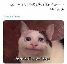 حصل واخواتي اللي كانو يتريقوا عليا Dora Funny Funny Picture Jokes Funny School Memes