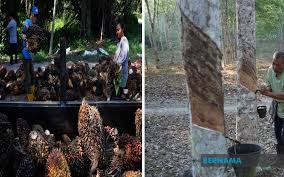 Pendapatan per kapita, atau keluaran dalam negara kasar (kdnk) per kapita merujuk kepada jumlah hasil pada tahun 2008, ia mempunyai kdnk per kapita (ppp) tertinggi di malaysia, iaitu sekitar $33 pada tahun 2008, ia menyumbang lebih 58% dalam kdnk negeri dan sekaligus menjadi nadi. Bernama Malaysia Catat Rm63 7 Bln Pendapatan Dalam Eksport Produk Komoditi