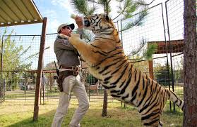 Netflix's tiger king has taken the country by storm, and this in depth interview with dillon passage (joe exotic's husband) takes us behind the scenes of. C Exotic And Dillon Passage Won T Rush To Divorce Entertainment Inforney Com