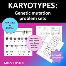 Genetic Disorders Mutations Karyotype Problem Worksheets Printable Digital In 2020 Genetic Disorders Genetics Mutation