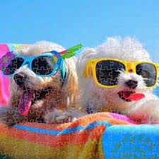 Check spelling or type a new query. Personalised Photo Jigsaw Puzzle Ideas Smoochy Poochy