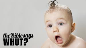 Life Transformation Blog — Freedom in Christ Church