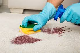 If something like that happens to you, i found out that rubbing alcohol cleans the stains off laminate counters super fast, and these steps to get stains out of carpet worked. How To Get Food Coloring Out Of Carpet 5 Ways Howto