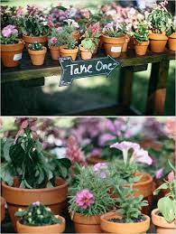 No Ordinary Outdoor Wedding Plant Wedding Favors Wedding Favors For Guests Rustic Wedding Favors