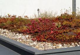 Dachbegrunung Okologisch Energiesparend Und Formschon Dachbegrunung Dach Garten