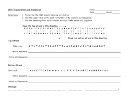 Bioknowledgy 2 7 dna replication transcription and translation from transcription and translation worksheet answers, source: Pin On Education