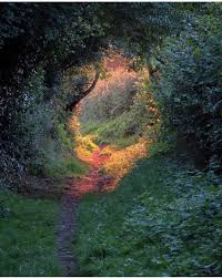 And into the forest i go. And Into The Forest I Go To Lose My Mind And Find My Soul Fairytaleasfuck