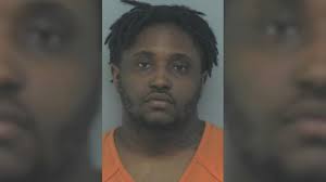 Former Ludowici city clerk faces felony theft charge