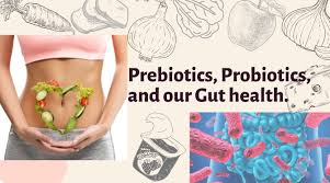 Prebiotics, probiotics, and our gut health.