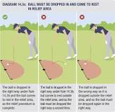 Image result for what does lift clean and place mean in golf
