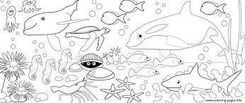 Set off fireworks to wish amer. Coloring Pages Of Sea Animals To Print9fac Coloring Pages Printable