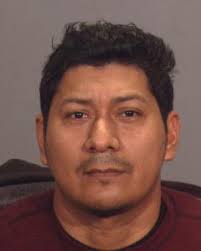 Zip 11204 Sex Offenders Registry and database at Offender Radar