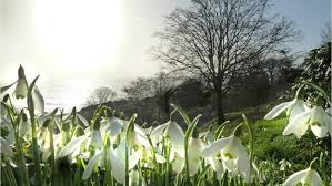 Image result for spring photos