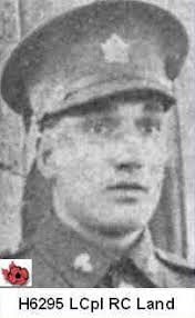 Individual Report: H6295 Roy LAND